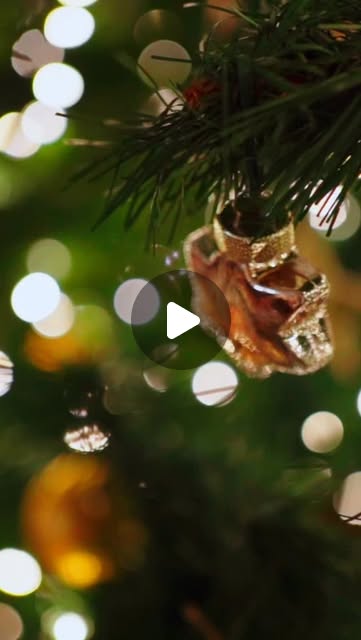 Featured · Hero Reel